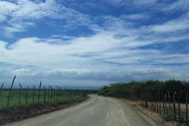 Despeje de Ruta Puerto Manzanillo - Guanillo, Agua Clara